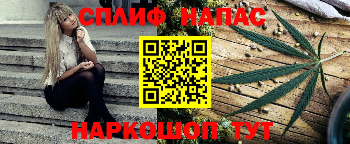 Каннабис план Гурьевск